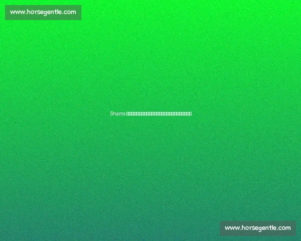 Shams 爆猛料！独行侠锁定状元弗拉格，马刺铁卫榜眼签押宝哈珀