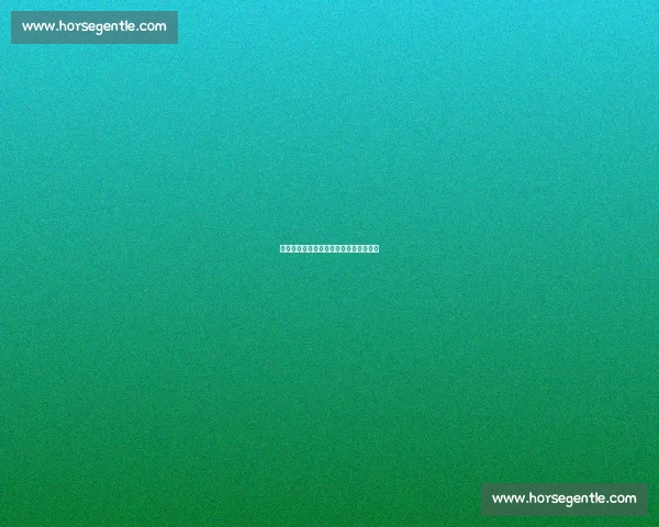 嘘声中的回归：特朗普美网十年争议亮相