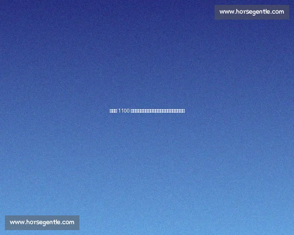 西汉姆 1100 万英镑报价博让!埃弗顿、布伦特福德加入争夺战