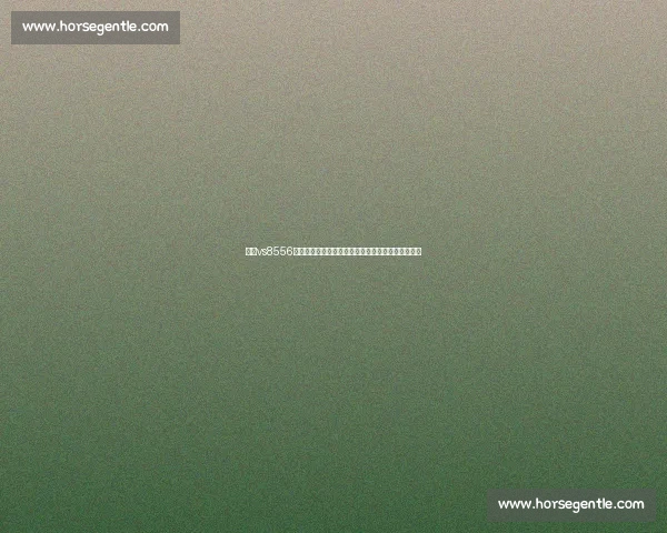 围绕vs8556芯片应用前景与创新技术方向深度解析趋势研究概述