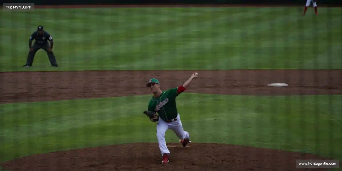 行业领先的理由